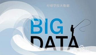 大數據服務的崛起 機遇、挑戰與深遠影響