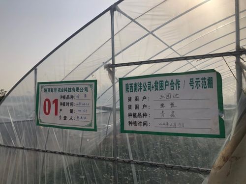 三方協(xié)同加碼，以技術(shù)轉(zhuǎn)讓與咨詢助推脫貧攻堅(jiān)